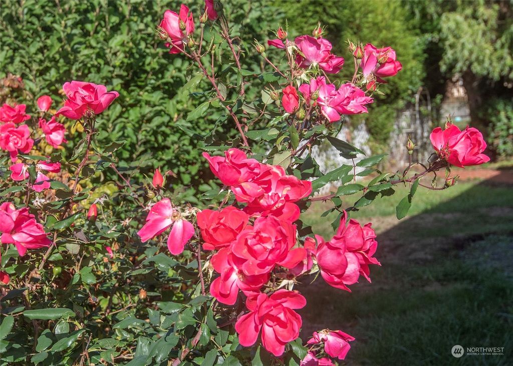 Photo of 6148 S 125th Street, Seattle, WA 98178 (MLS # 2298980)