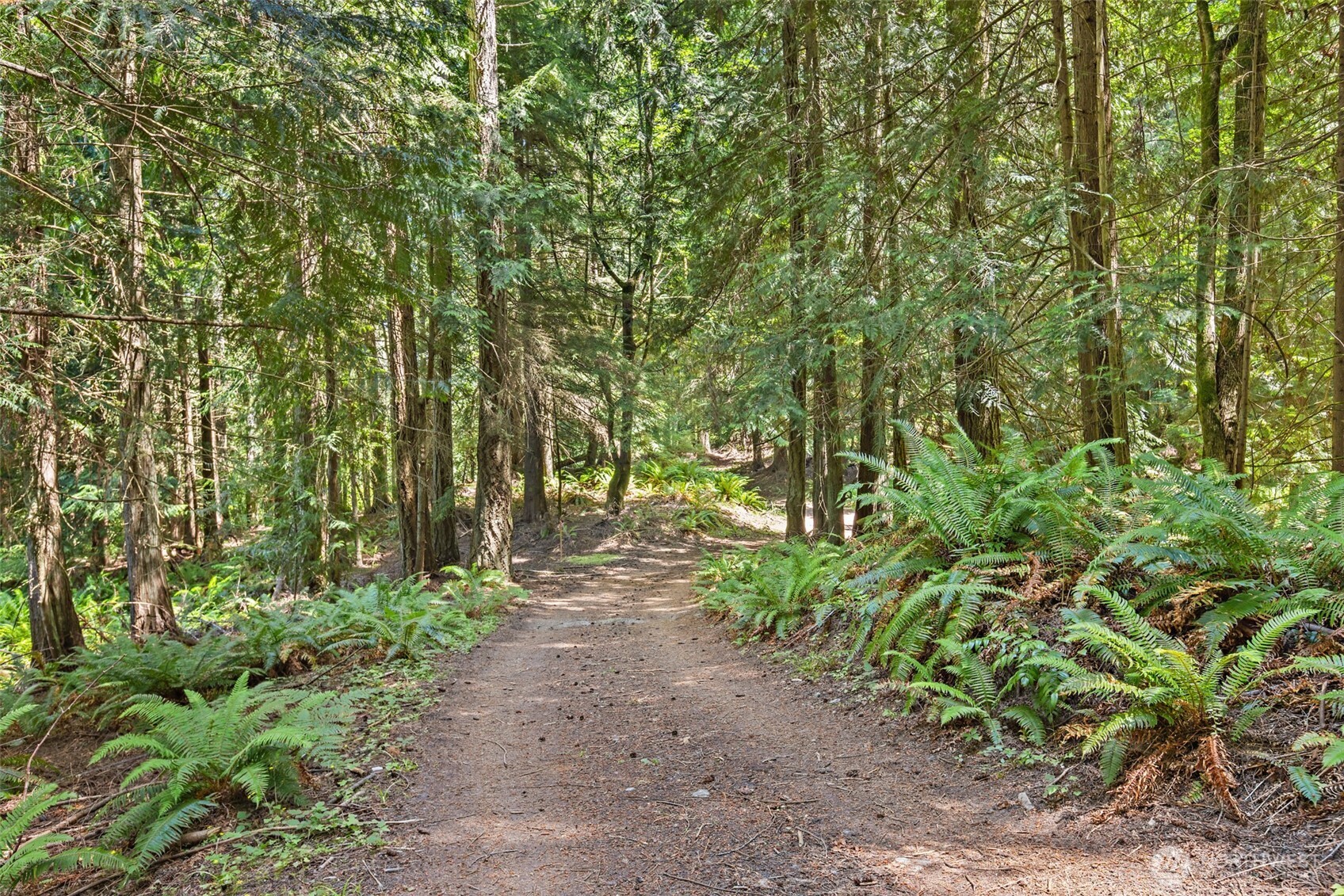 2223 Obrien Road