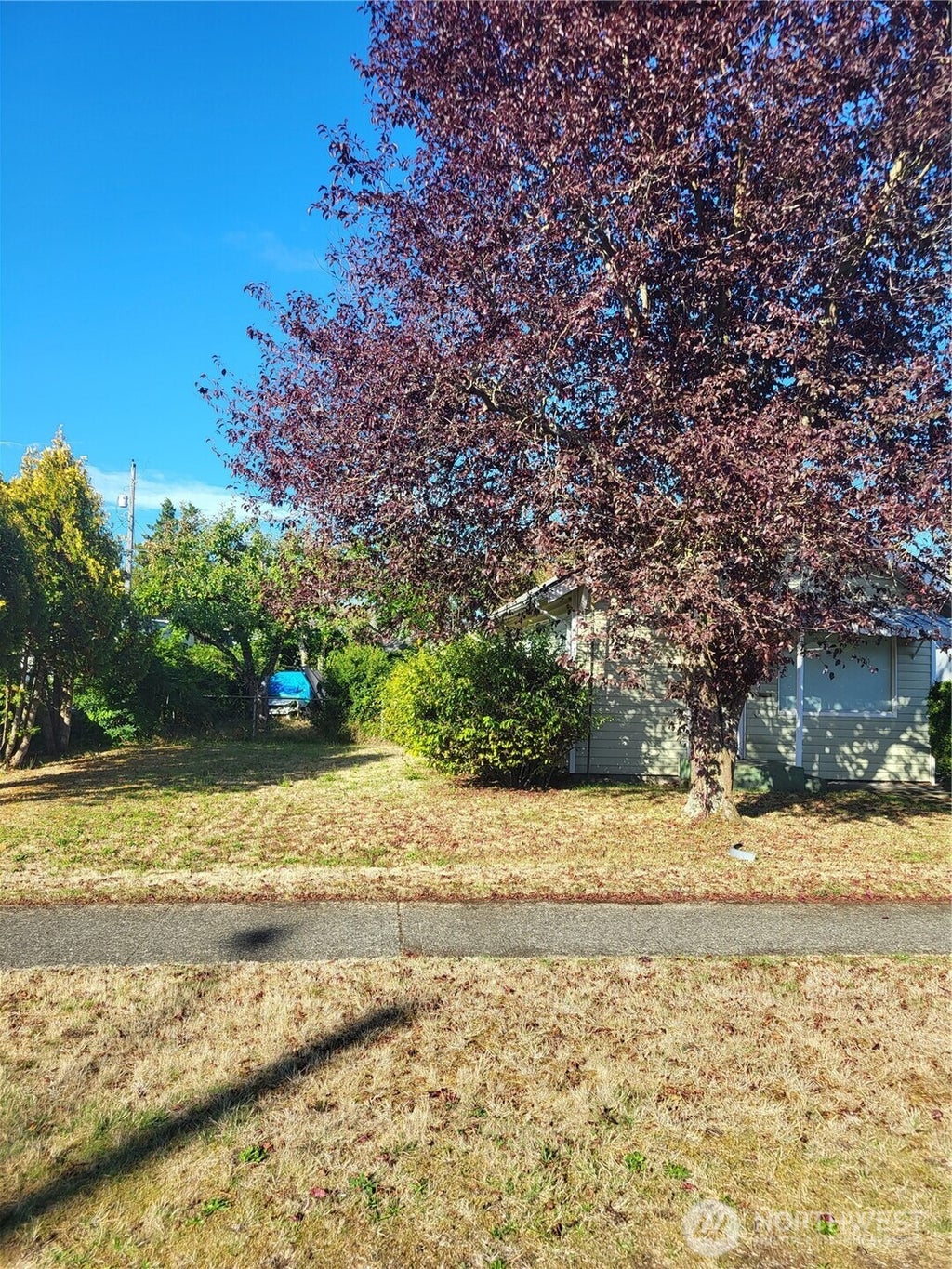 Photo of 6814 S Lawrence Street, Tacoma, WA 98409 (MLS # 2589379)