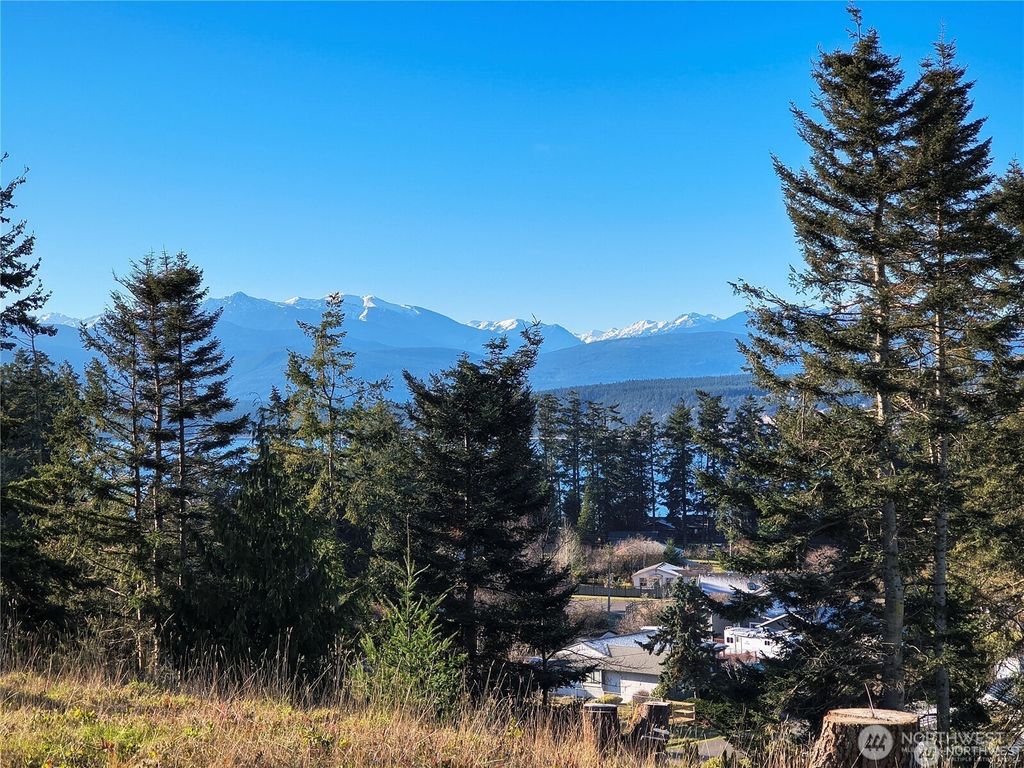 Photo of 188 S Rhododendron Dr. Dr, Port Townsend, WA 98368 (MLS # 2513360)