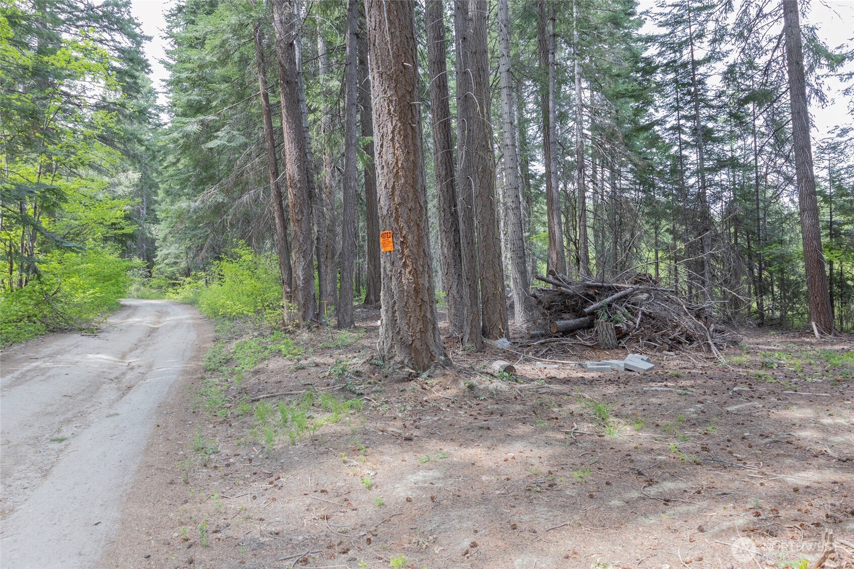 0 Forrest Service 6601-550 Rd