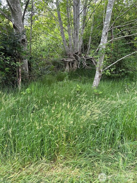 Photo of 14 xxx 33 Place E, Seaview, WA 98644 (MLS # 2382626)