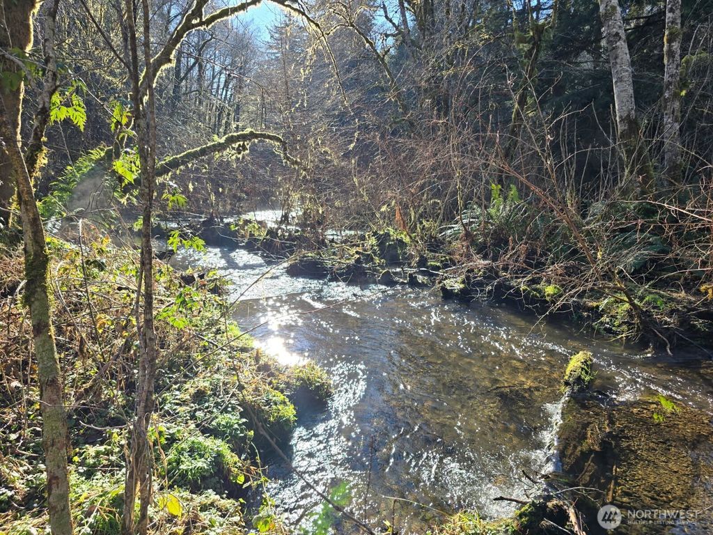 Photo of 1531 W Ford Road, Matlock, WA 98560 (MLS # 2470720)