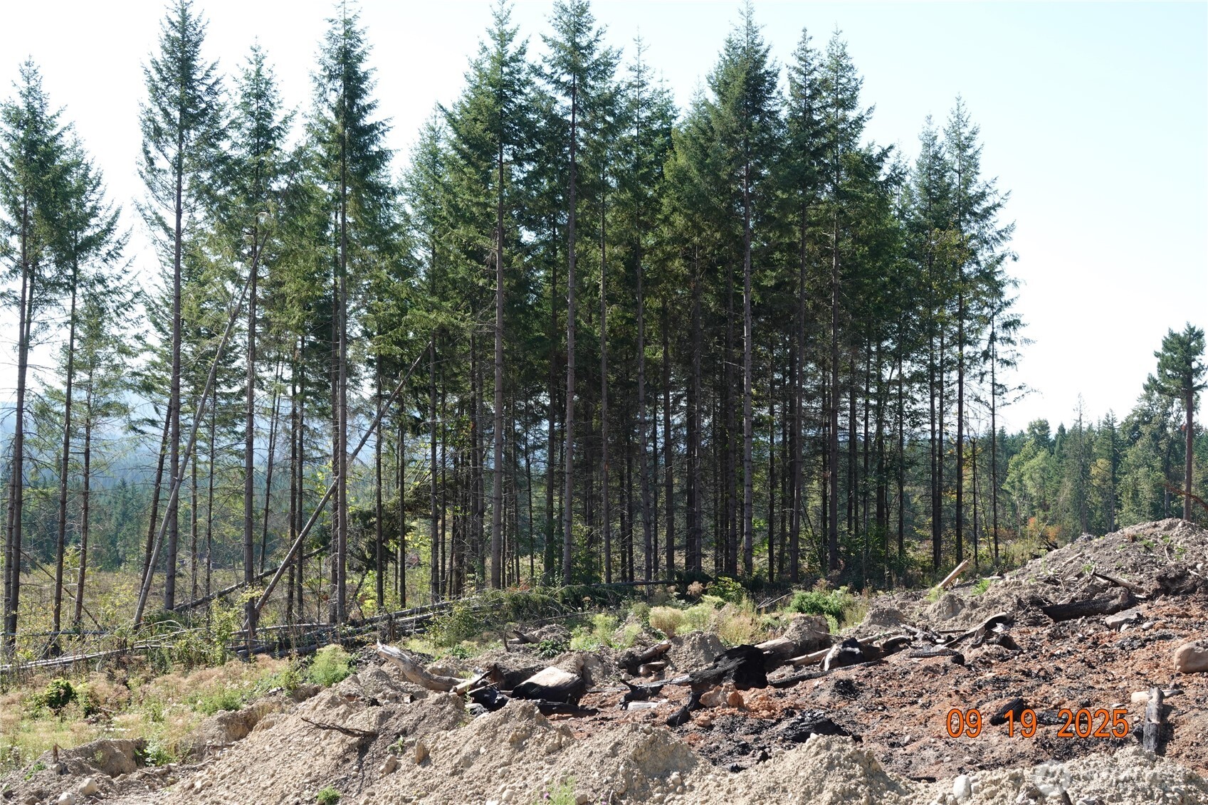 10119 Eatonville Highway E