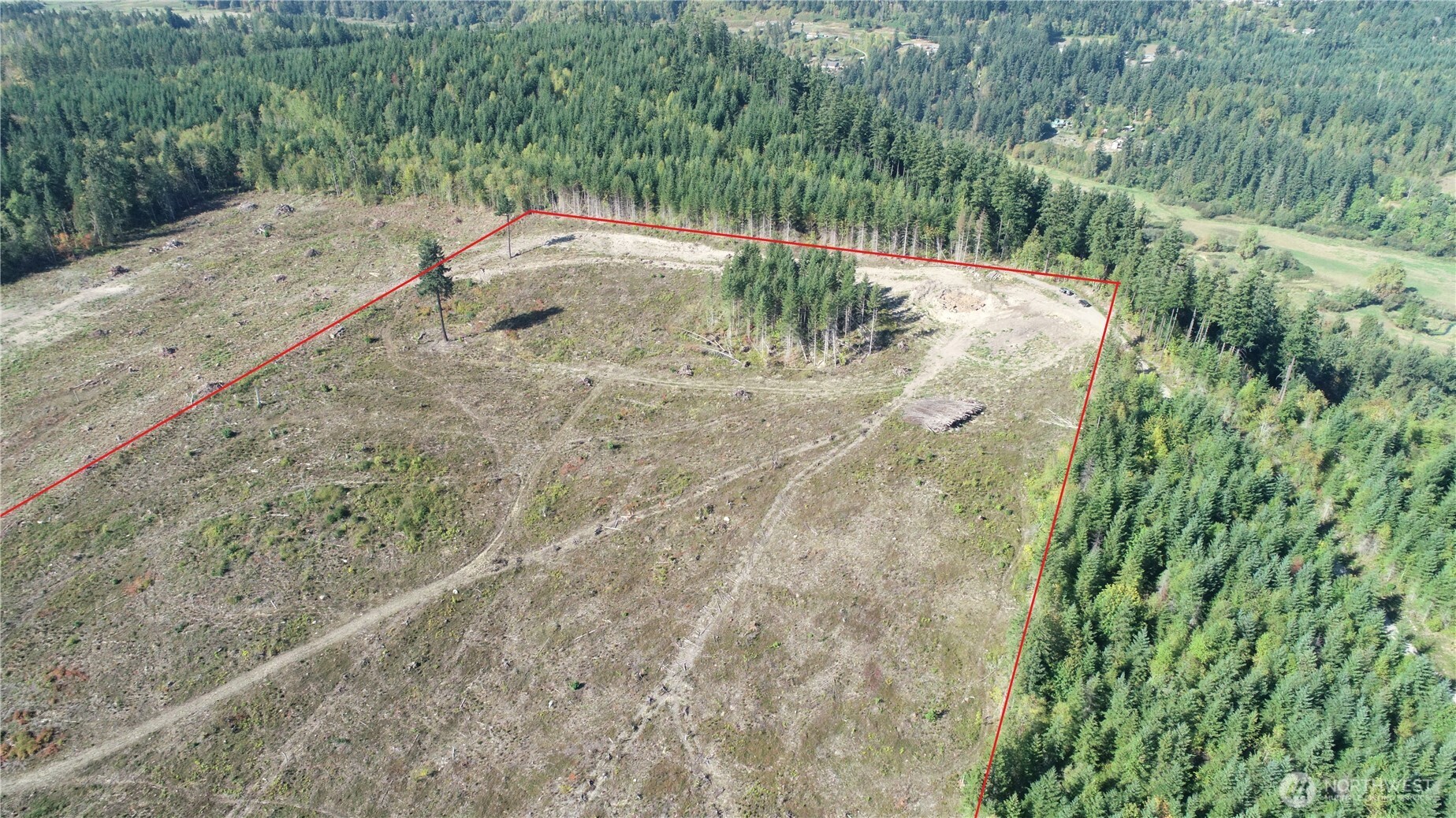 10119 Eatonville Highway E