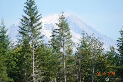 10119 Eatonville Highway E Eatonville WA 98328