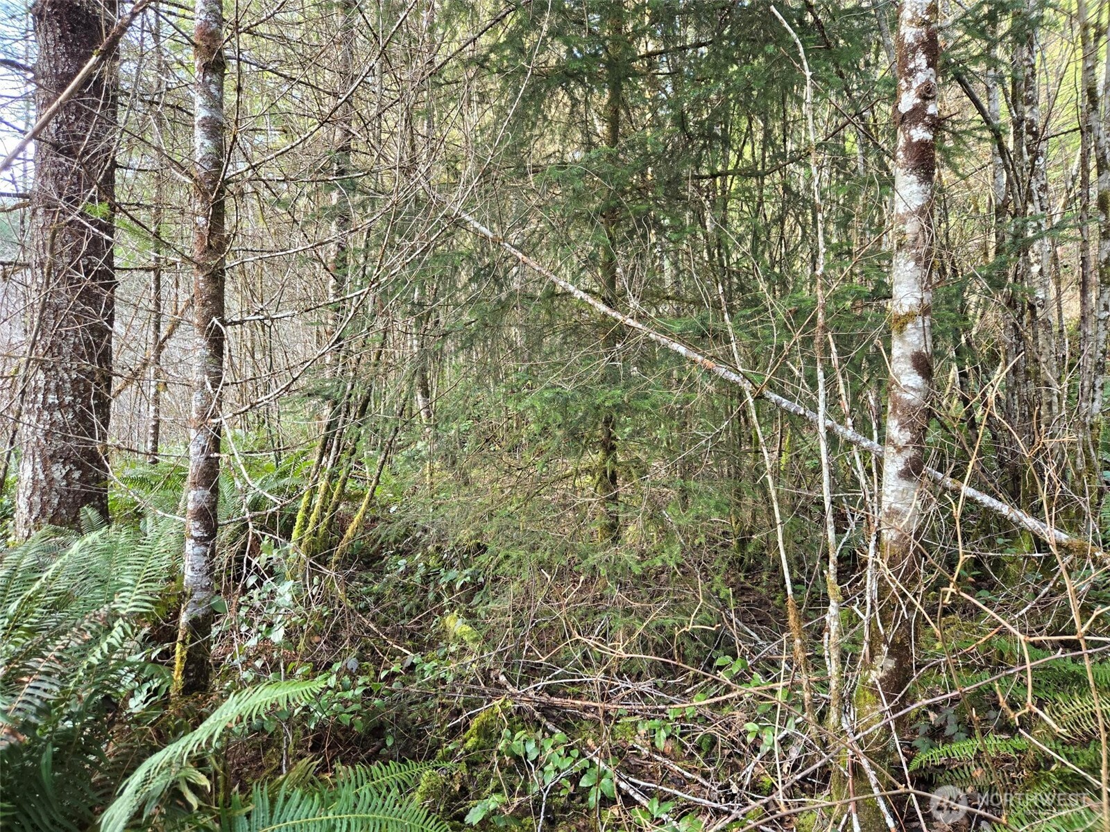 0 Workman Creek Road