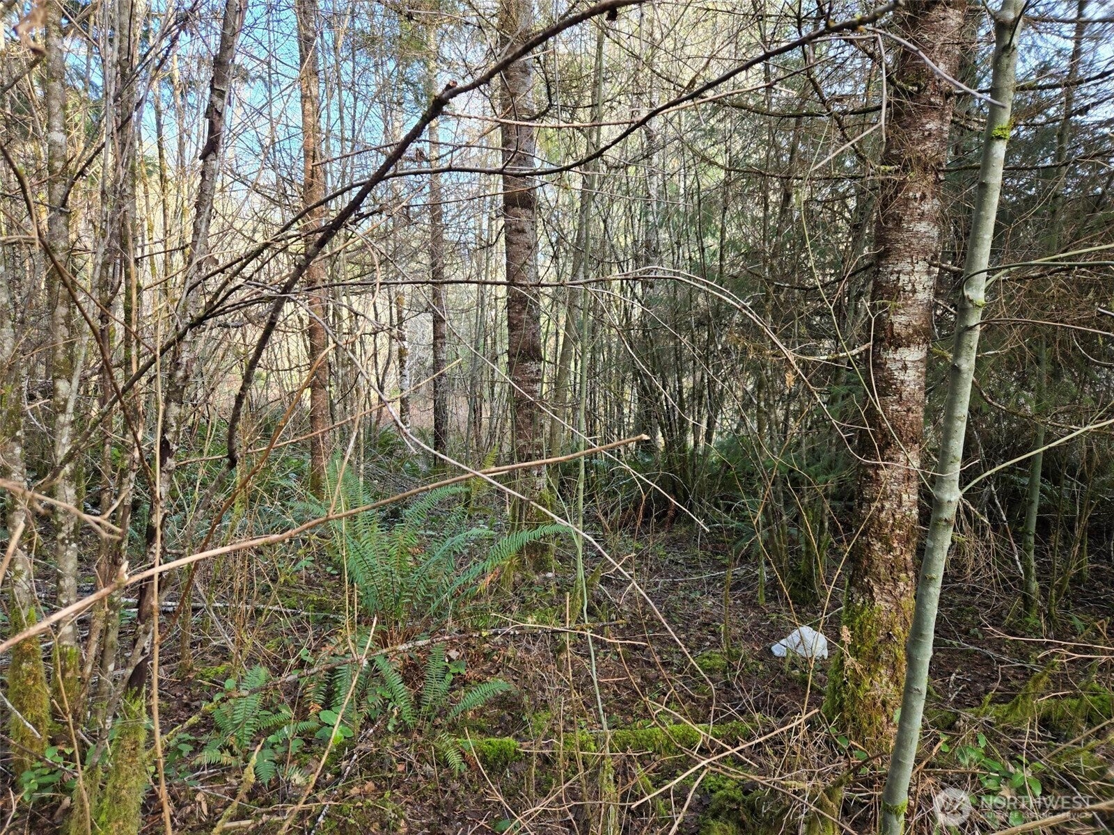 0 Workman Creek Road