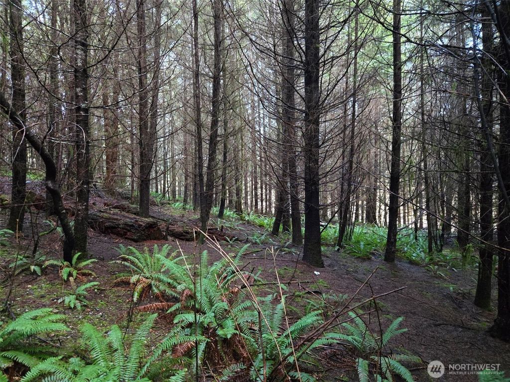Photo of 0 End of Workman Creek Road, Elma, WA 98541 (MLS # 2513988)