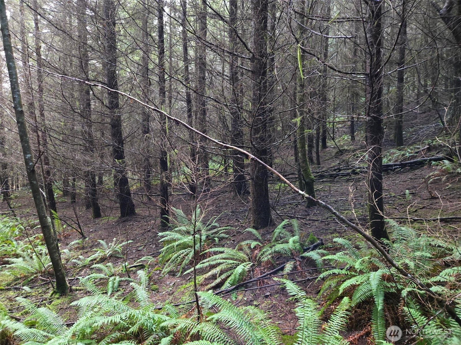 0 Workman Creek Road