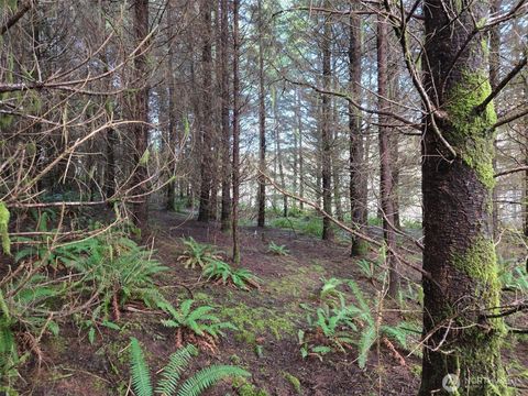Photo of 0 End of Workman Creek Road, Elma, WA 98541 (MLS # 2513988)