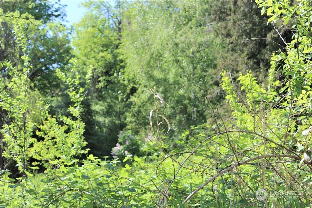 Photo of 140 x Maple Avenue, Snohomish, WA 98290 (MLS # 2135186)