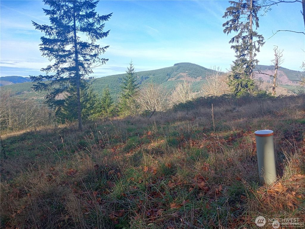 Photo of 167 Wagner Road, Kelso, WA 98626 (MLS # 2532517)