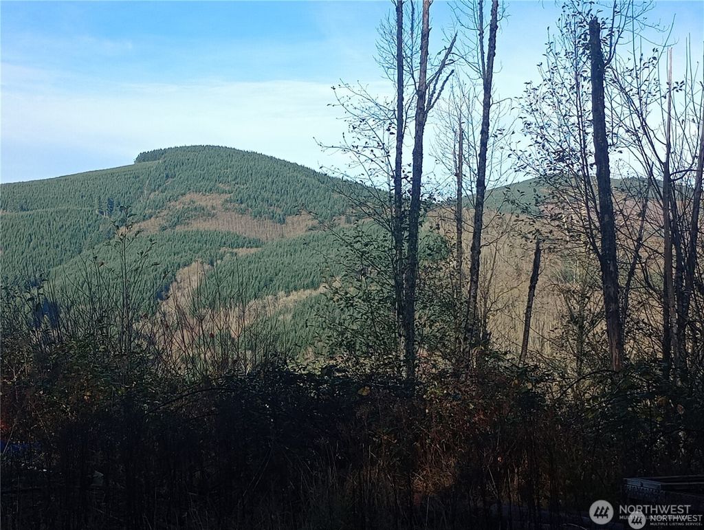 Photo of 167 Wagner Road, Kelso, WA 98626 (MLS # 2532517)