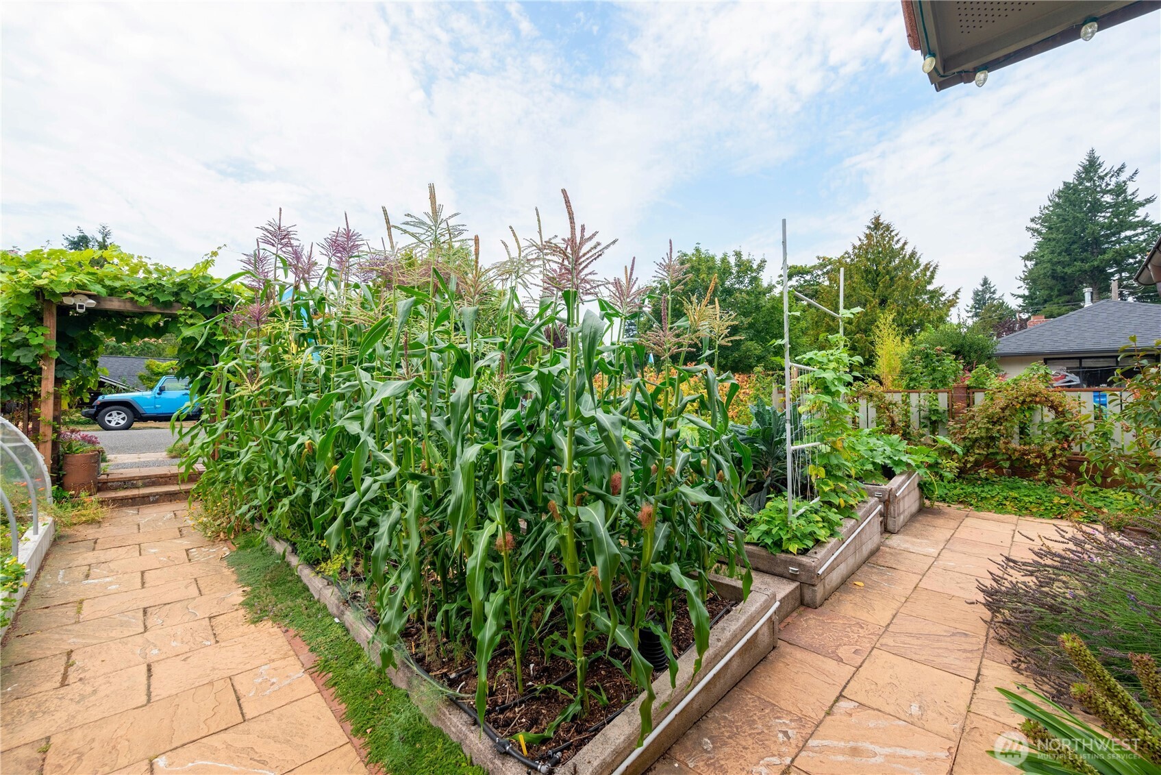 16532 21st Avenue NE