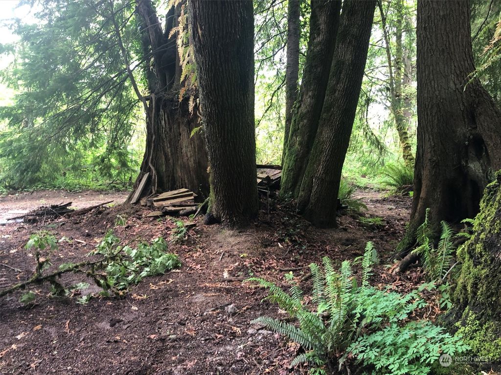 Photo of 13500 415th Way SE, North Bend, WA 98045 (MLS # 2013310)