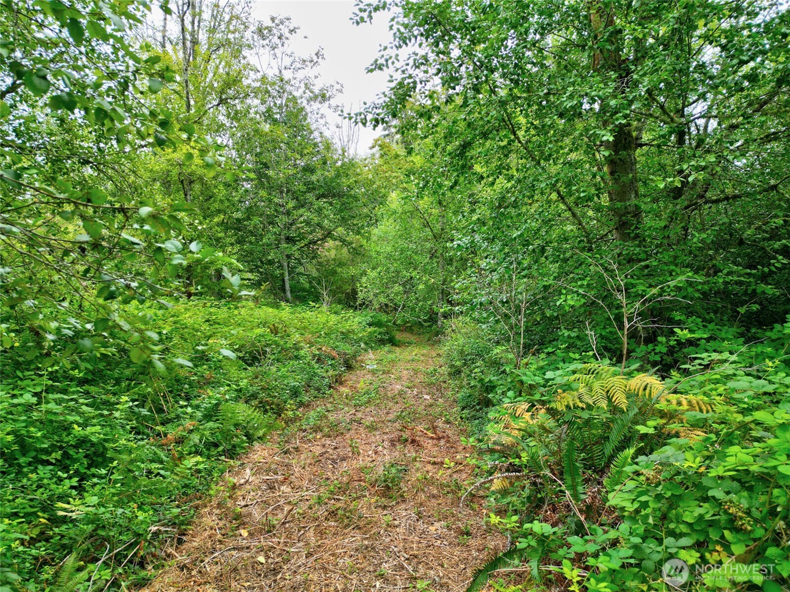 0 Wagner Road