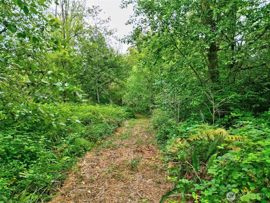 Photo of 0 Wagner Road, Monroe, WA 98272 (MLS # 2393771)