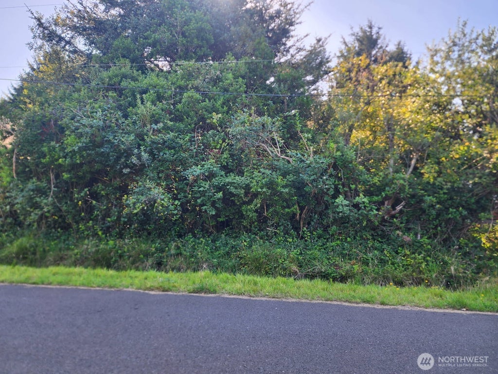 Photo of 307 Centaurus Avenue SW, Ocean Shores, WA 98569 (MLS # 2581781)