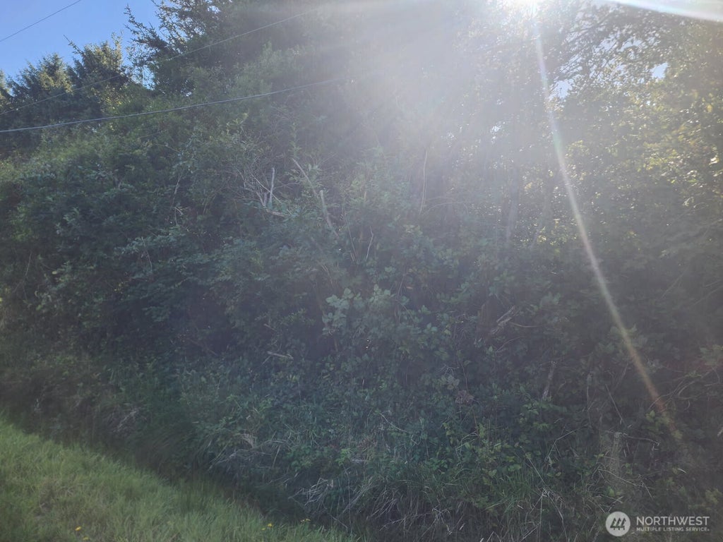 Photo of 307 Centaurus Avenue SW, Ocean Shores, WA 98569 (MLS # 2581781)