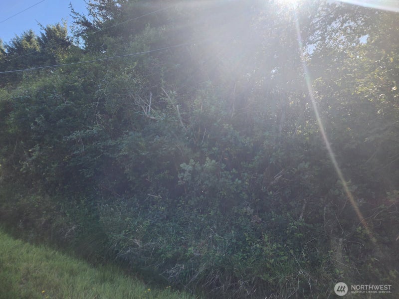 307 Centaurus Avenue SW