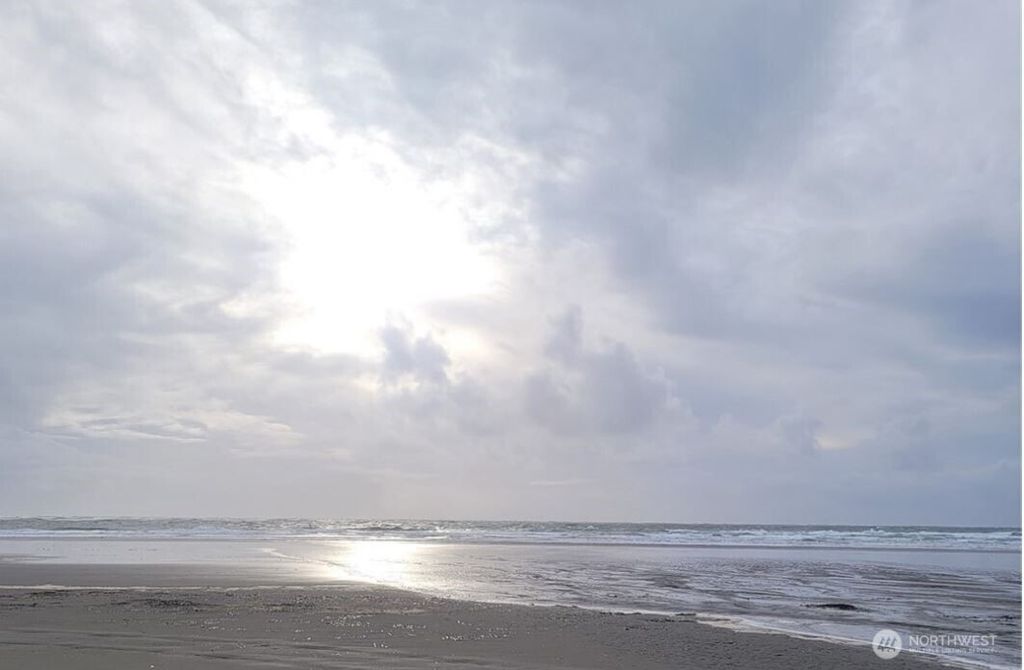 Photo of 47 XX State Route 105 S, Grayland, WA 98547 (MLS # 2506328)