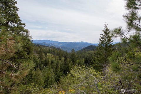 Photo of 0 Forest Service 6601-550 Rd #C, Leavenworth, WA 98826 (MLS # 2578920)