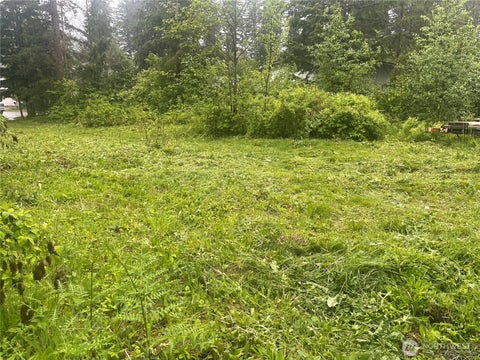 Photo of 6159 Hawthorne Place, Maple Falls, WA 98266 (MLS # 2571076)