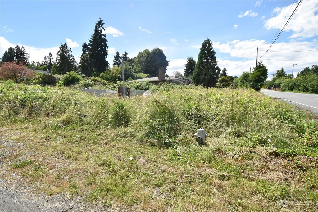 Photo of 8633 E Side Drive NE, Tacoma, WA 98422 (MLS # 2132031)