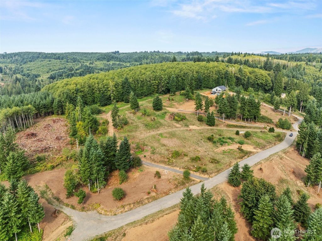 Photo of 287 Bison Run Road, Longview, WA 98632 (MLS # 2470022)