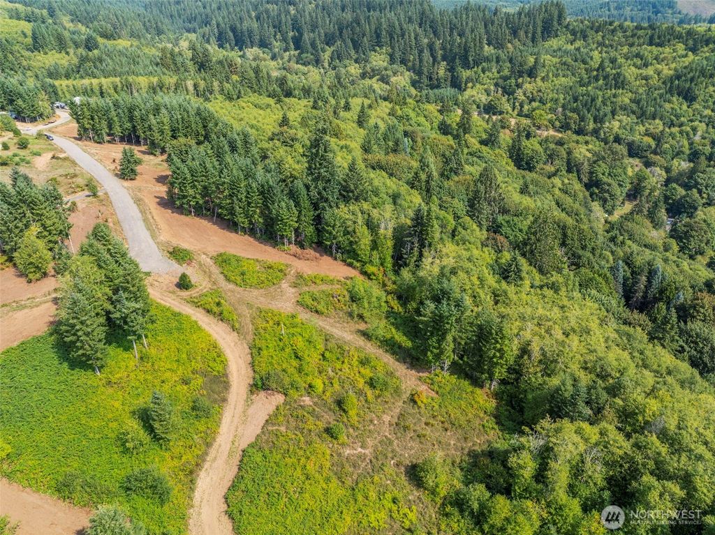 Photo of 287 Bison Run Road, Longview, WA 98632 (MLS # 2470022)