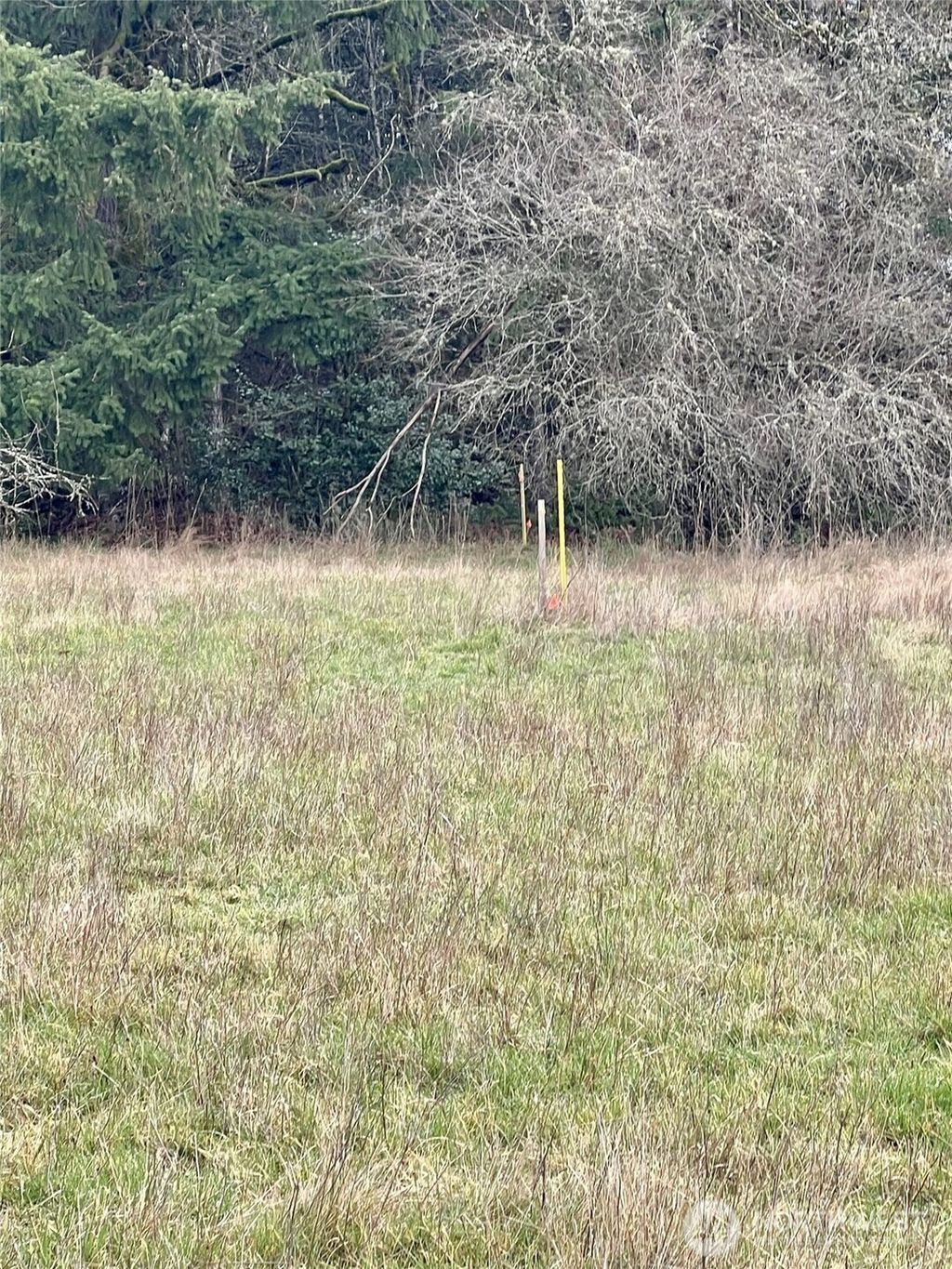 Photo of 1 NE Jabez Street, Winlock, WA 98596 (MLS # 2475875)