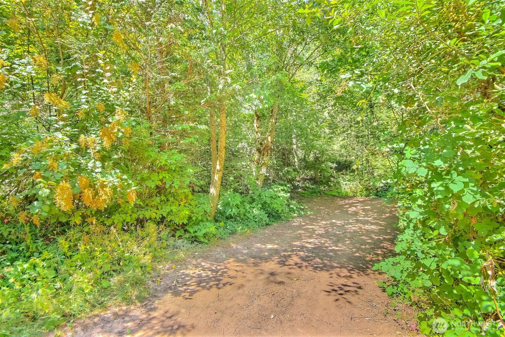 Ravensdale, Washington 98051, United States, ,Land,Active,180910