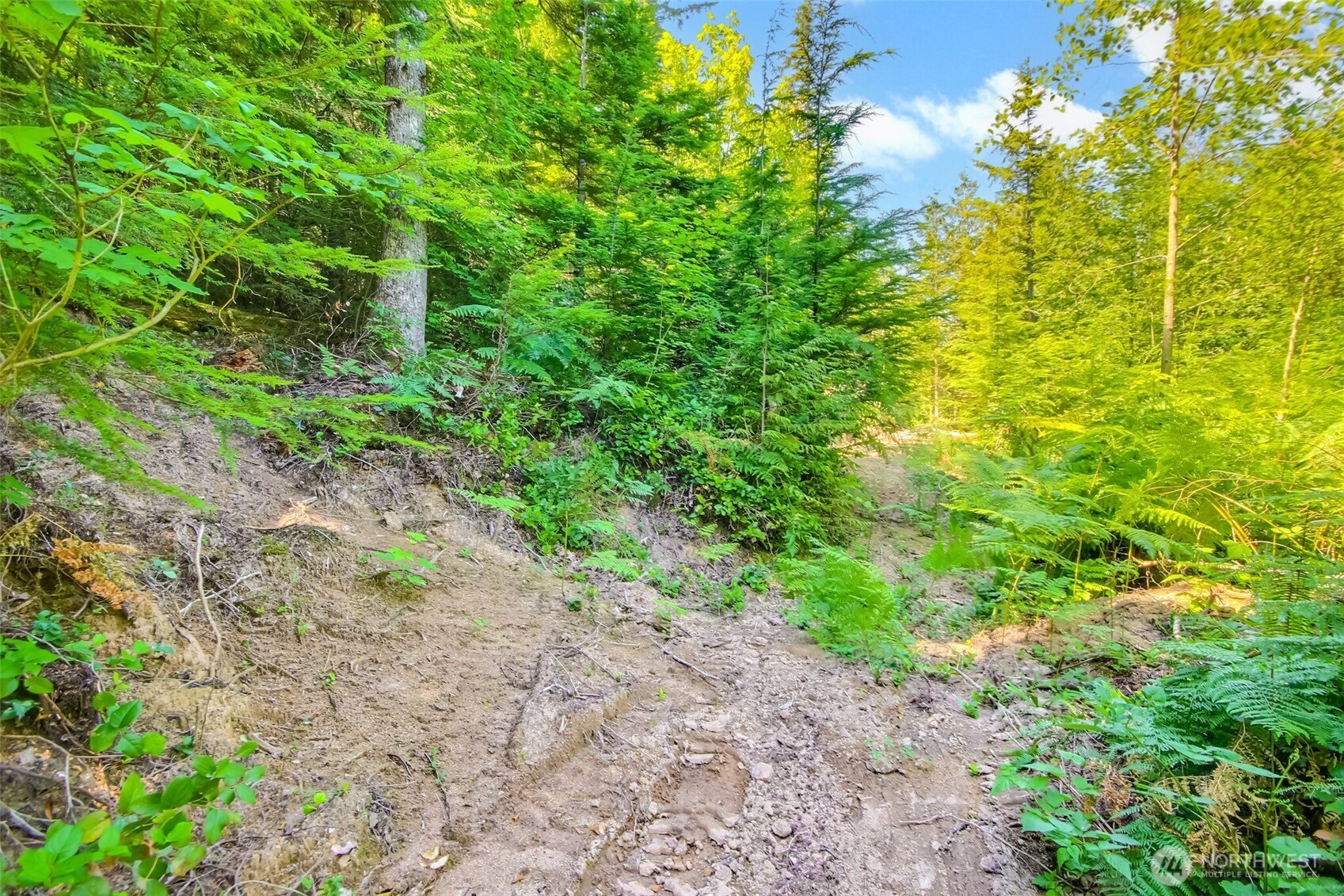 Ravensdale, Washington 98051, United States, ,Land,Active,180910