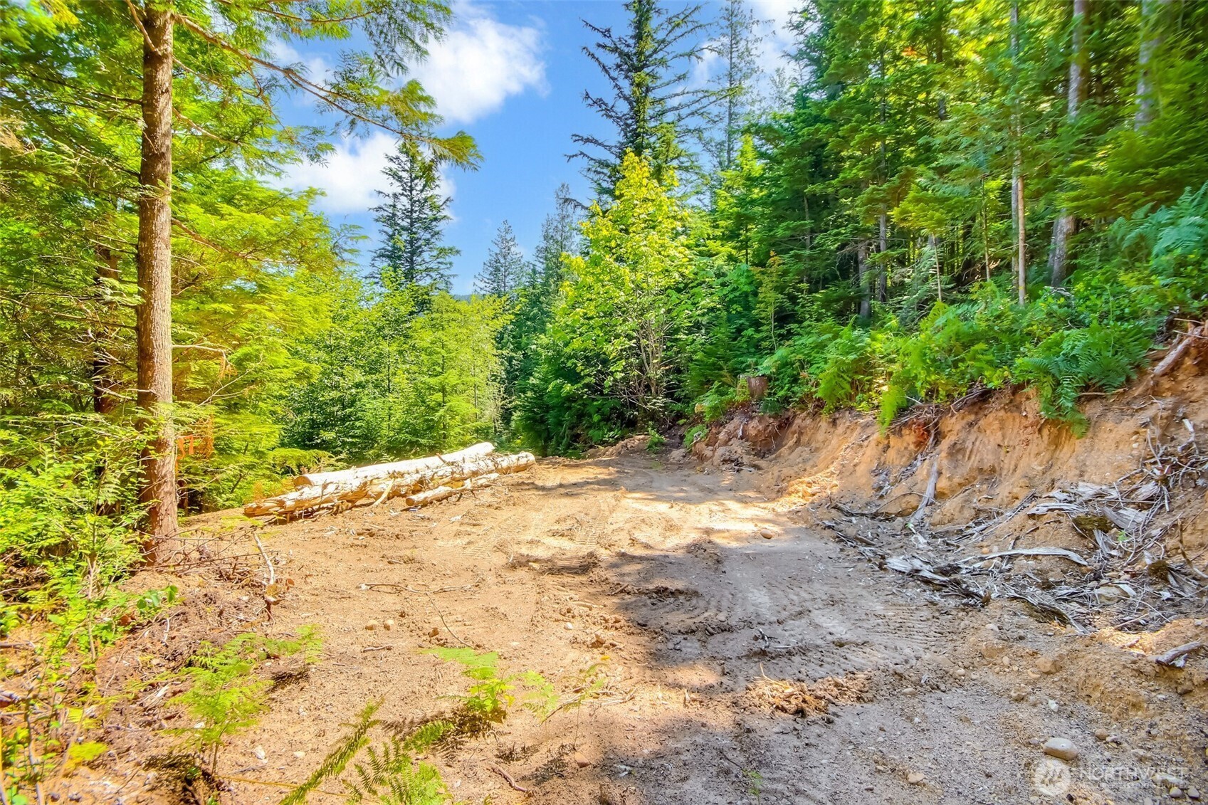 Ravensdale, Washington 98051, United States, ,Land,Active,180910