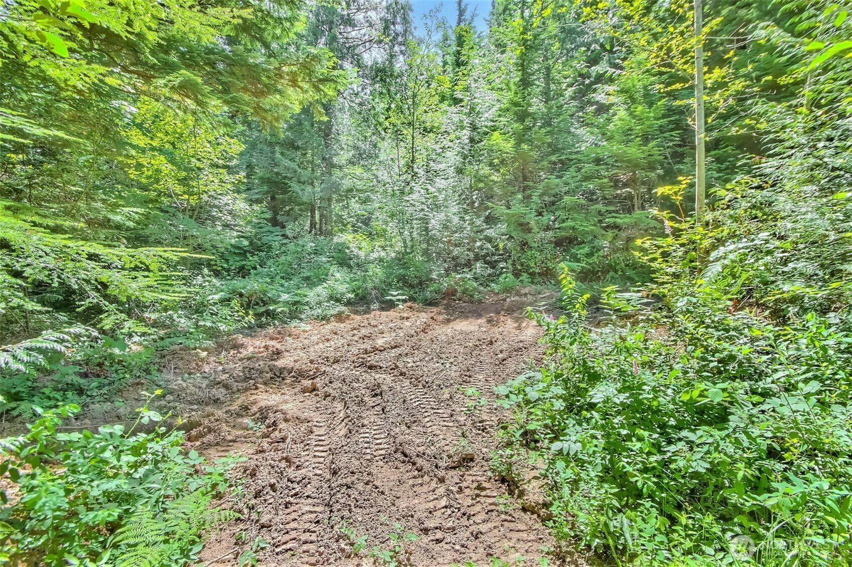 Ravensdale, Washington 98051, United States, ,Land,Active,180910