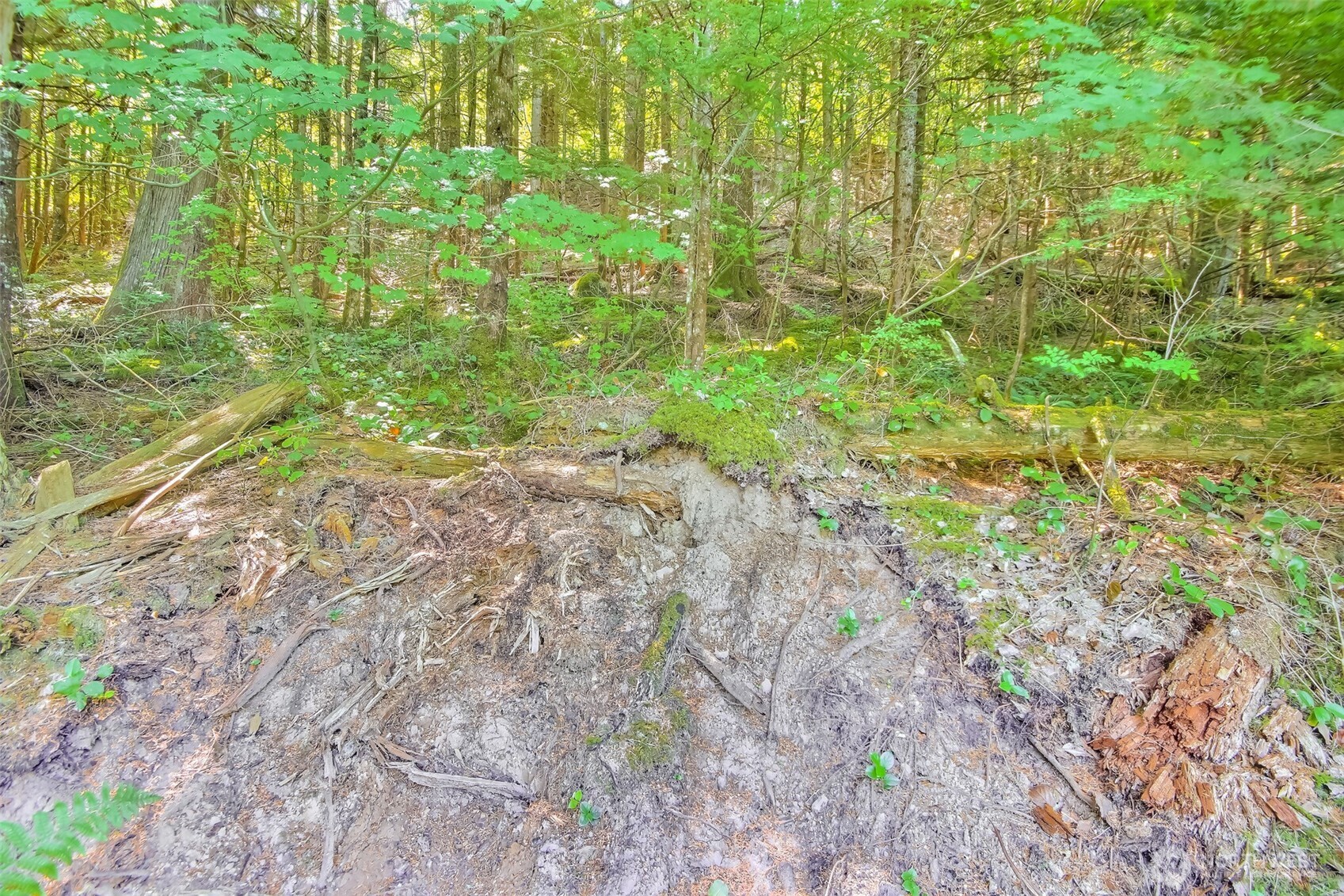 Ravensdale, Washington 98051, United States, ,Land,Active,180910