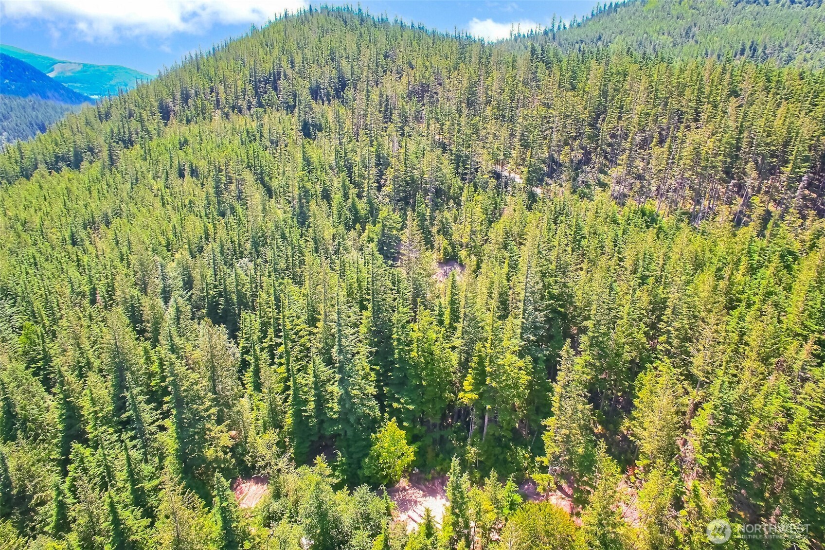 Ravensdale, Washington 98051, United States, ,Land,Active,180910