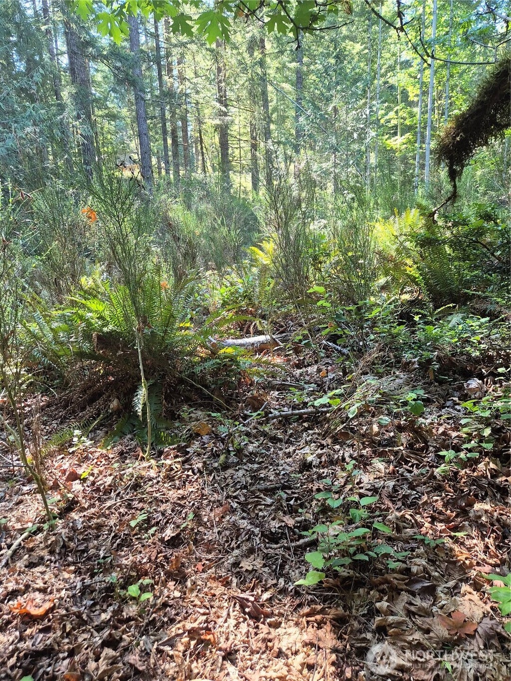 Photo of 2755 Lost Creek Lane NW, Bremerton, WA 98312 (MLS # 2577121)