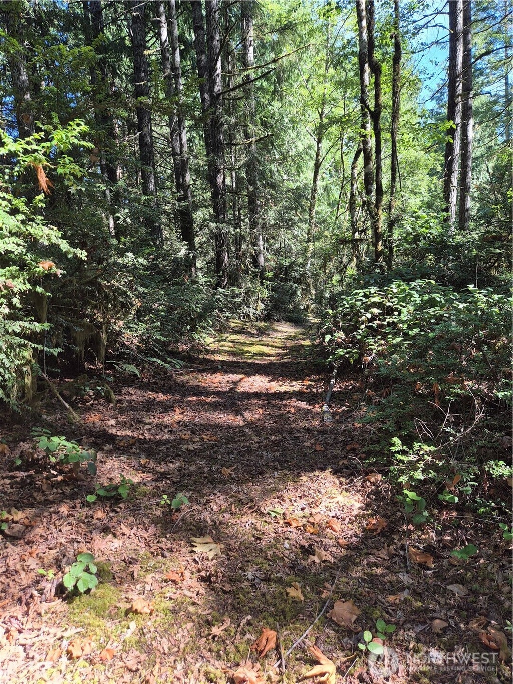 Photo of 2755 Lost Creek Lane NW, Bremerton, WA 98312 (MLS # 2577121)