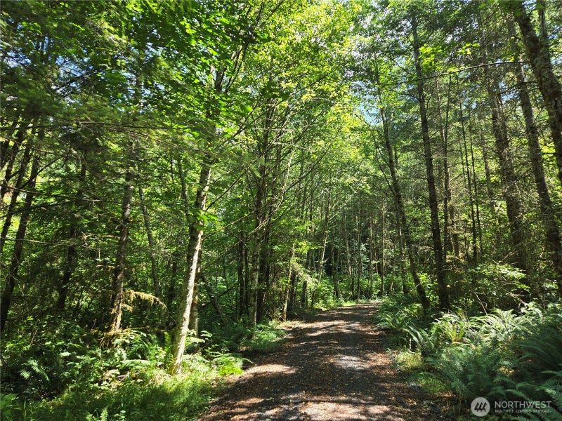 228 W King Lake Road