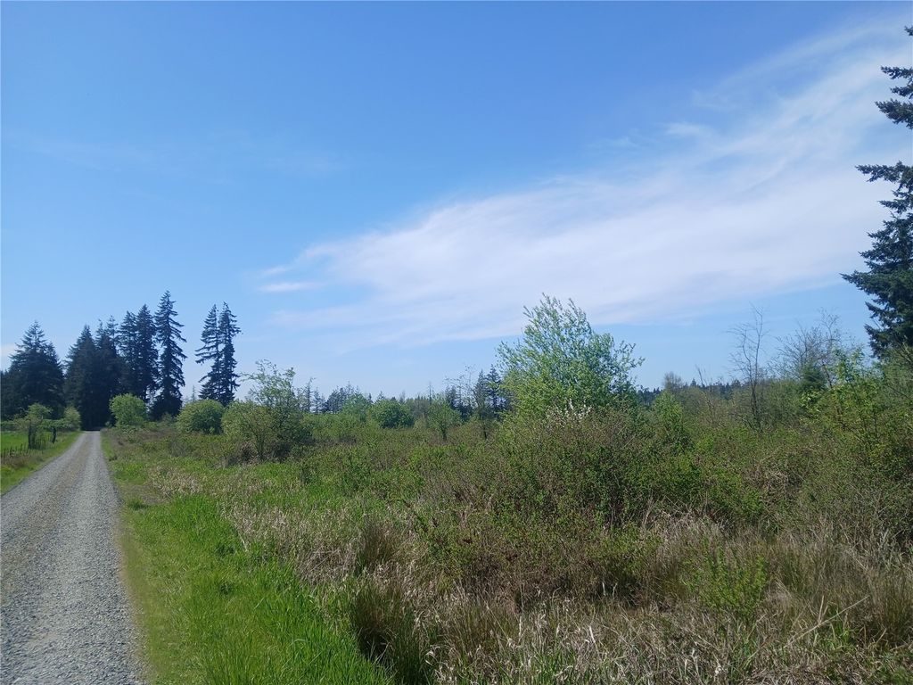 Photo of 456 Meier Road, Winlock, WA 98596 (MLS # 2521434)