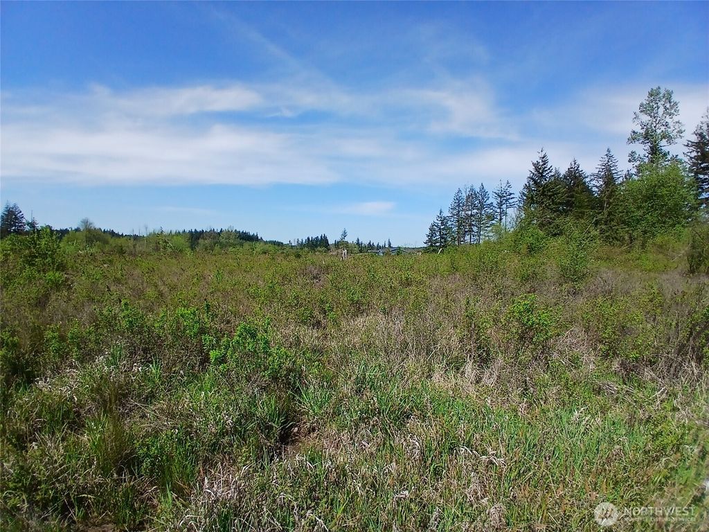 Photo of 456 Meier Road, Winlock, WA 98596 (MLS # 2521434)