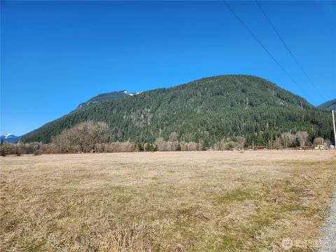 112 Horseshoe Lane Randle WA 98593