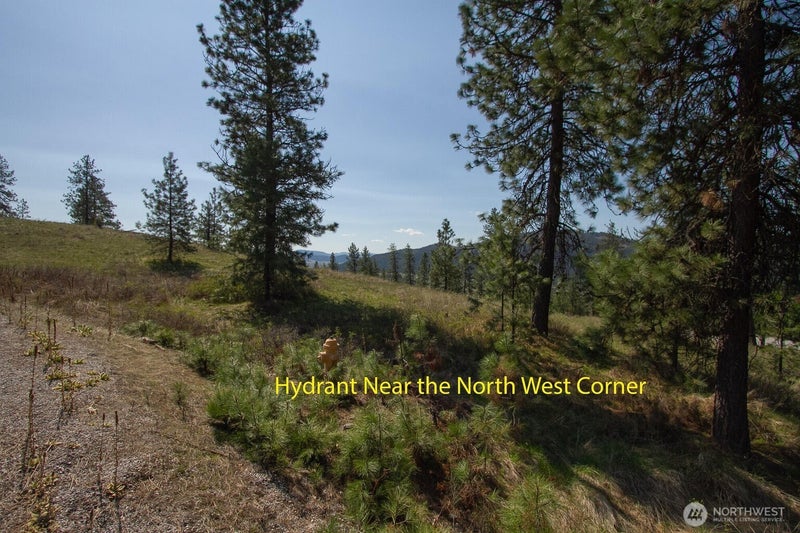 1622 Palmer Loop
