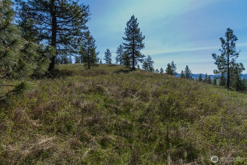 1622 Palmer Loop