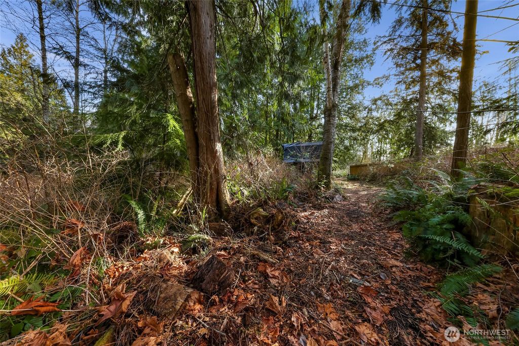 Photo of 6655 N Fruitdale Road, Sedro Woolley, WA 98284 (MLS # 2485885)
