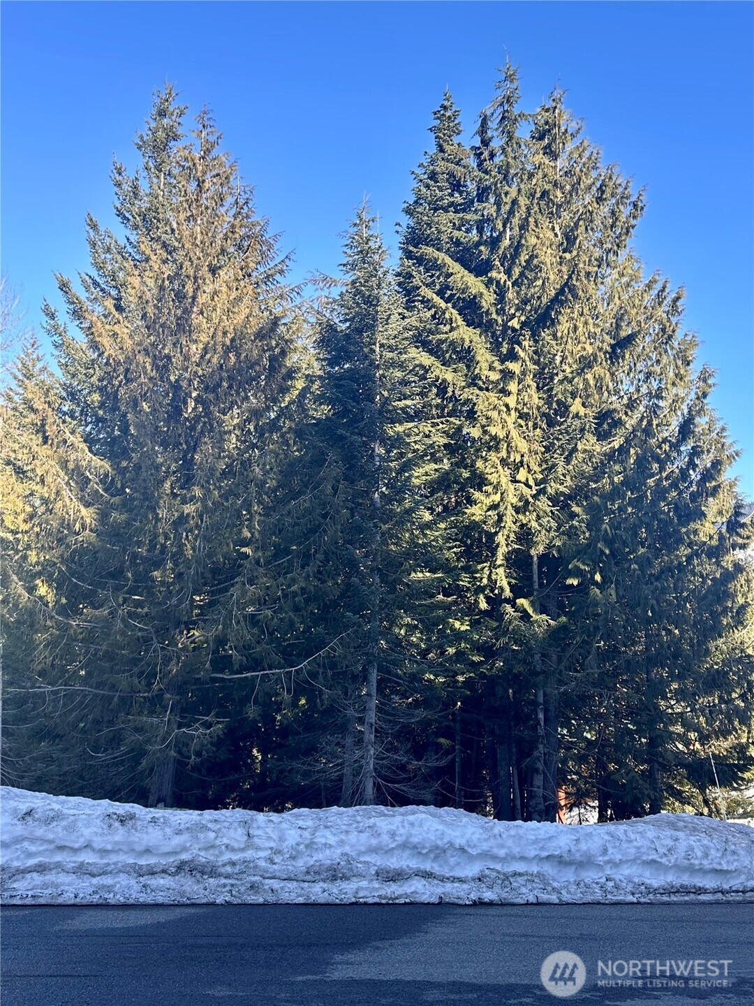 0 Lot 56 Snoqualmie Drive