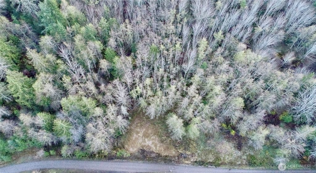 Photo of 9999 Lot 8 Black Bear Trail, Port Angeles, WA 98362 (MLS # 2458452)