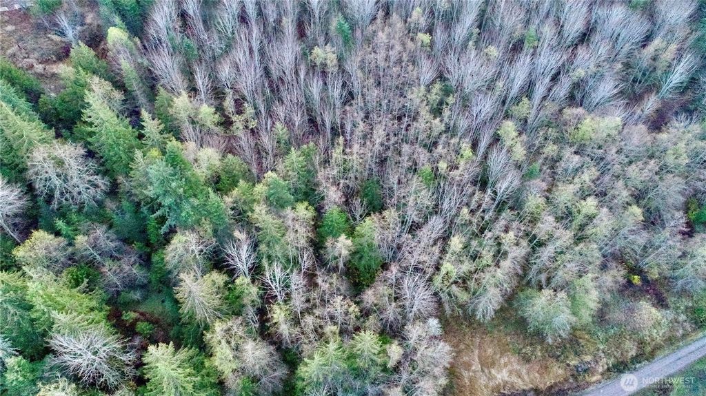 Photo of 9999 Lot 8 Black Bear Trail, Port Angeles, WA 98362 (MLS # 2458452)